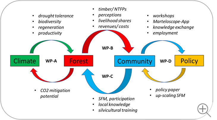 Zusammenhang der vier zentralen Projektbausteine (WPs): Klima, Wald, Gemeinden und Politik